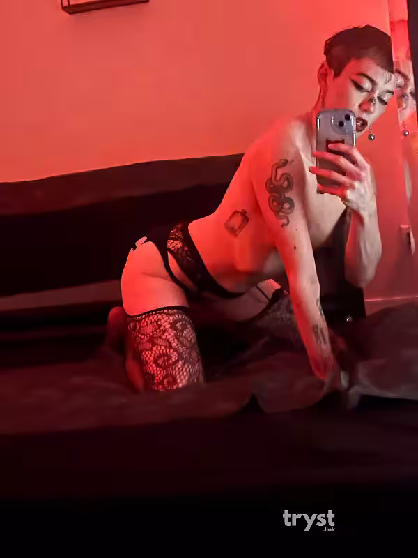 companion/Massage/S&M Scarlet in North Hollywood, CA