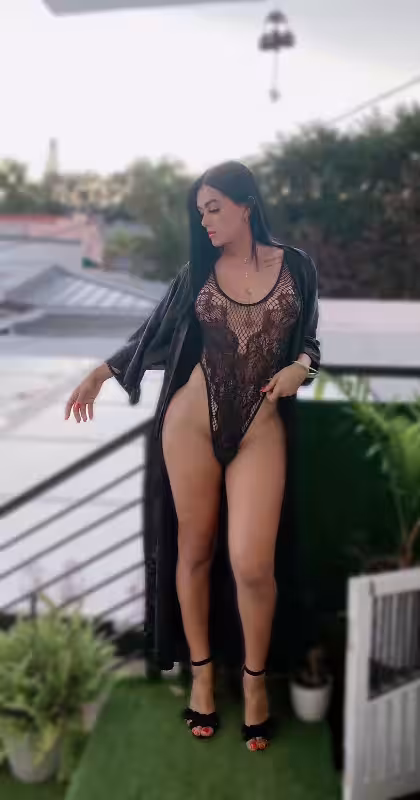 Escort/Massage/S&M TS Elisabeth in Tampa, FL