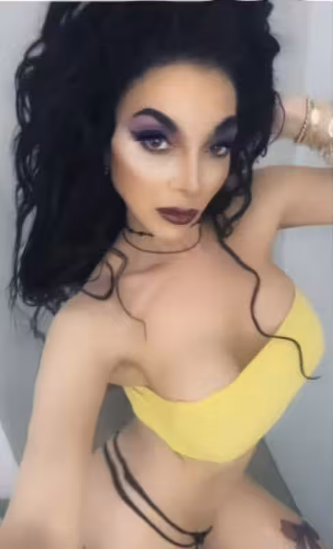 Escort/Massage/S&M TS Sandra in Tampa, FL